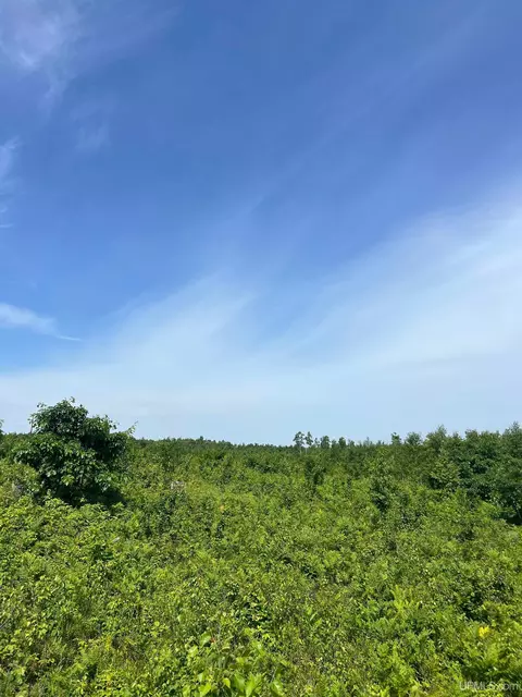 tbd Chalk Hls, Daggett, MI 49821 photo 33