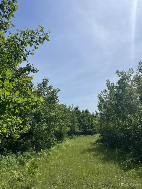 tbd Chalk Hls, Daggett, MI 49821 photo 12
