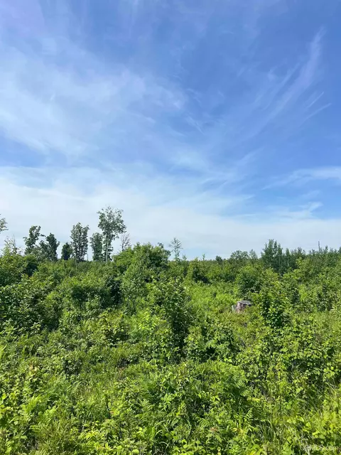 tbd Chalk Hls, Daggett, MI 49821 photo 43