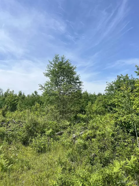 tbd Chalk Hls, Daggett, MI 49821 photo 48