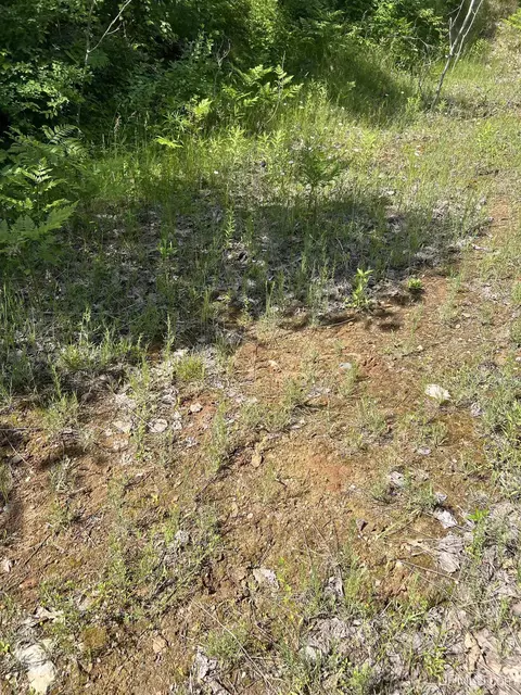 tbd Chalk Hls, Daggett, MI 49821 photo 57