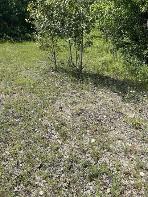 tbd Chalk Hls, Daggett, MI 49821 photo 15