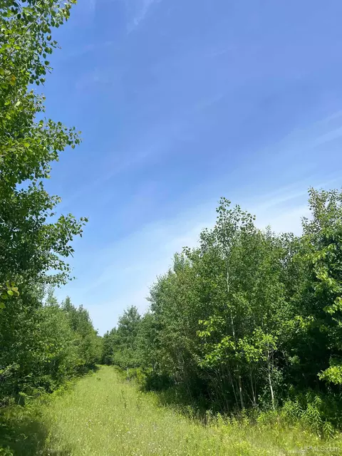 tbd Chalk Hls, Daggett, MI 49821 photo 28