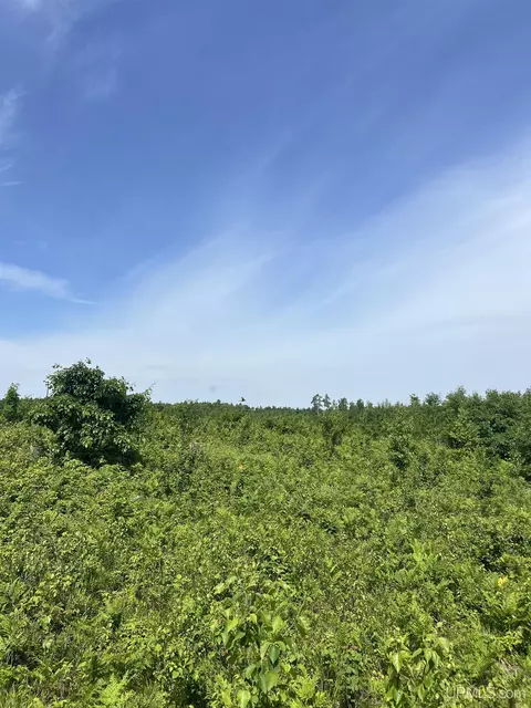 tbd Chalk Hls, Daggett, MI 49821 photo 35
