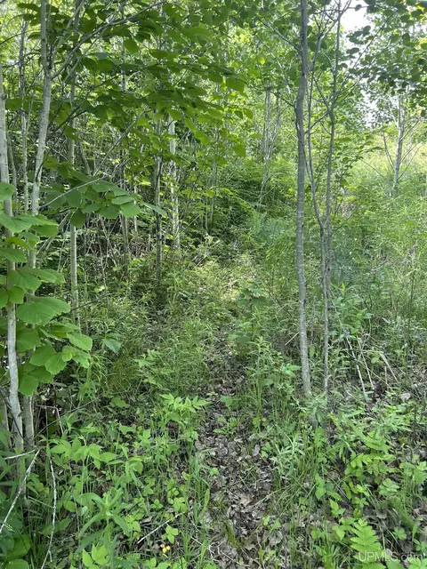 tbd Chalk Hls, Daggett, MI 49821 photo 29