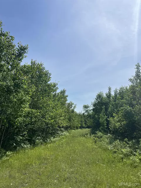 tbd Chalk Hls, Daggett, MI 49821 photo 11