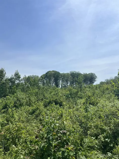 tbd Chalk Hls, Daggett, MI 49821 photo 36