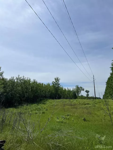 tbd Chalk Hls, Daggett, MI 49821 photo 17