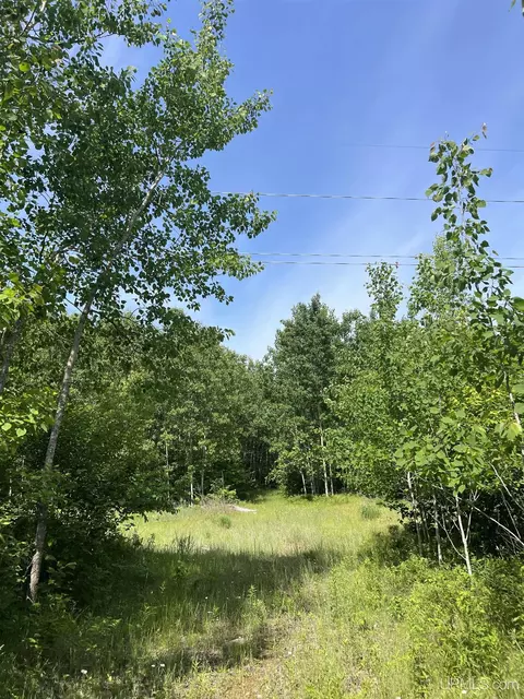 tbd Chalk Hls, Daggett, MI 49821 photo 8