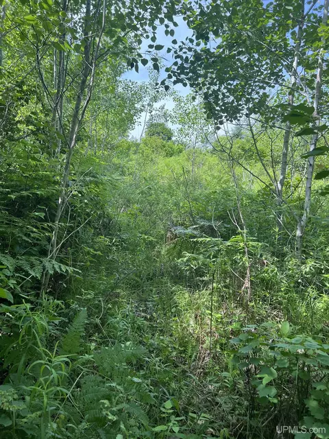 tbd Chalk Hls, Daggett, MI 49821 photo 30