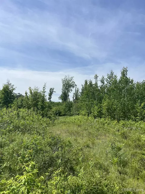 tbd Chalk Hls, Daggett, MI 49821 photo 45
