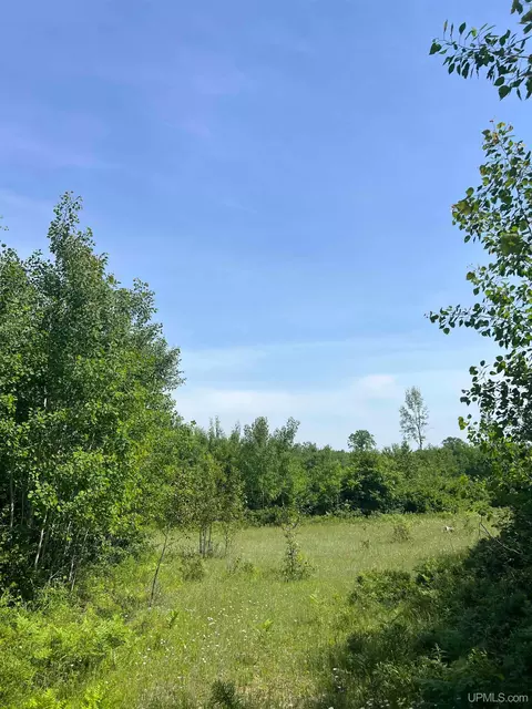 tbd Chalk Hls, Daggett, MI 49821 photo 27