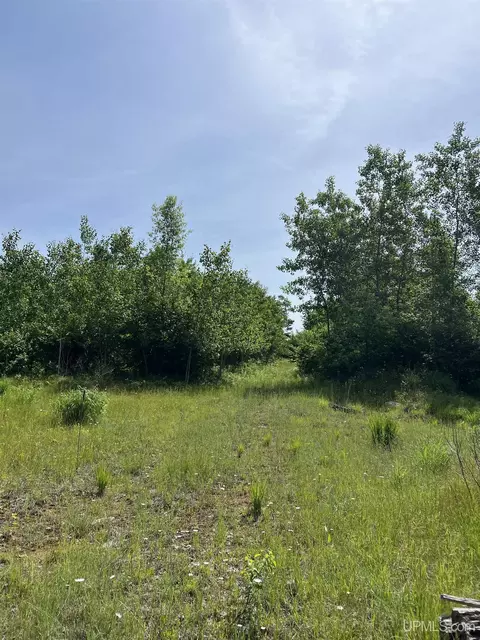 tbd Chalk Hls, Daggett, MI 49821 photo 18