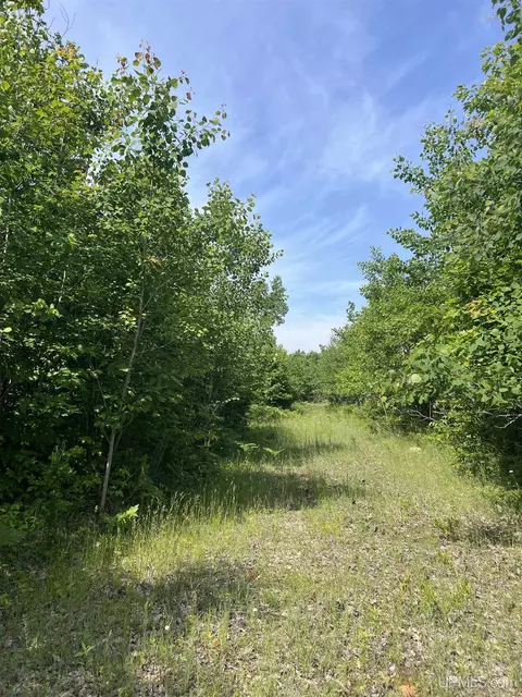 tbd Chalk Hls, Daggett, MI 49821 photo 9