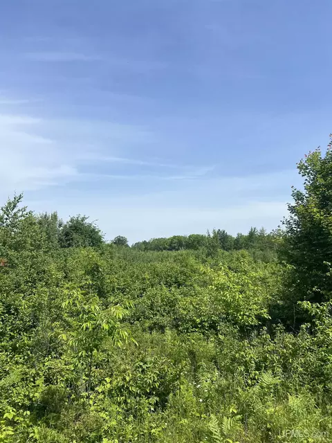 tbd Chalk Hls, Daggett, MI 49821 photo 25