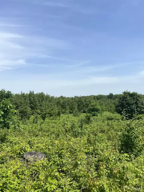 tbd Chalk Hls, Daggett, MI 49821 photo 39
