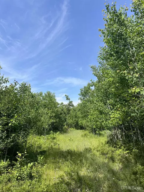 tbd Chalk Hls, Daggett, MI 49821 photo 54