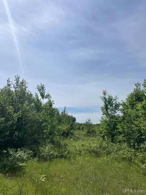 tbd Chalk Hls, Daggett, MI 49821 photo 10