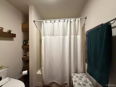Bath - e12288 Percy Road, Shingleton, MI 49884 photo 1 of 2