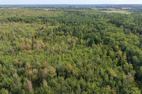 tbd Larson, Bruce Crossing, MI 49912 photo 3