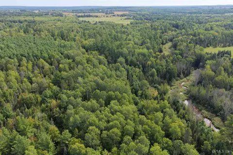 tbd Larson, Bruce Crossing, MI 49912 photo 6