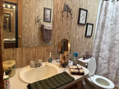 Bath - 1859 Pratt Lk, Gladwin, MI 48624 photo 5 of 6