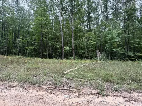 Vl Rolling, Lake, MI 48632 photo 2