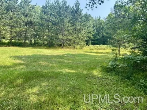 Other - 9000 Bear Lake Lodge Rd, Ishpeming, MI 49849 photo 3 of 4