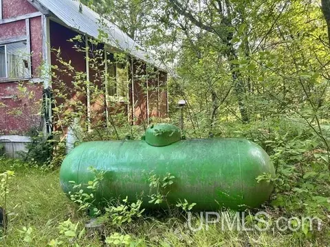 Exterior - 9000 Bear Lake Lodge Rd, Ishpeming, MI 49849 photo 6 of 6