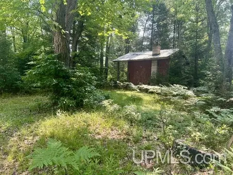 Exterior - 9000 Bear Lake Lodge Rd, Ishpeming, MI 49849 photo 3 of 6