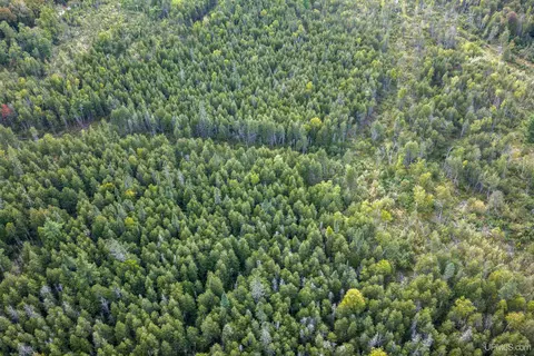 tbd Oro Rd, Powers, MI 49886 photo 7