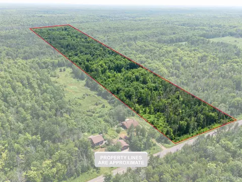 20 Acres Tbd Dukes, Skandia, MI 49885