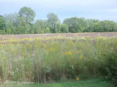 V/l W Coldwater, Flushing, MI 48433 photo 9