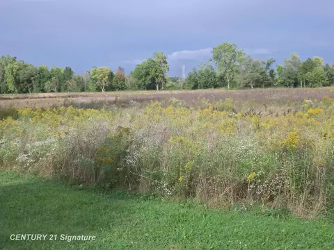 V/l W Coldwater, Flushing, MI 48433 photo 8