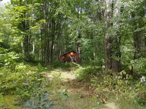 lot13 Maple Ln, Harrison, MI 48625 photo 2