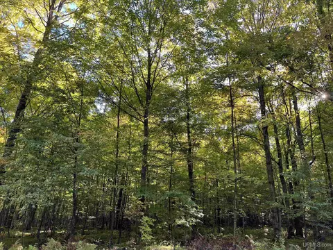 lot1 Porcupine Lk, Long Lake, WI 54542