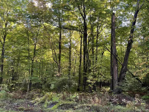 lot2 Porcupine Lk, Long Lake, WI 54542