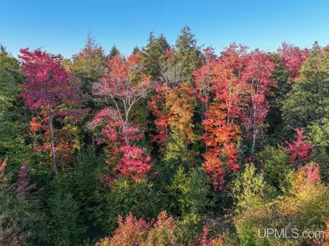 316 Acres Us 141, Covington, MI 49919 photo 42