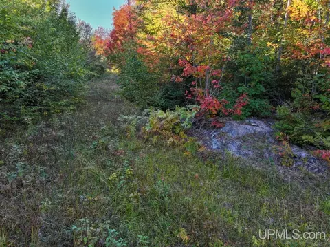 316 Acres Us 141, Covington, MI 49919 photo 8