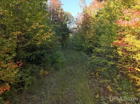 316 Acres Us 141, Covington, MI 49919 photo 12