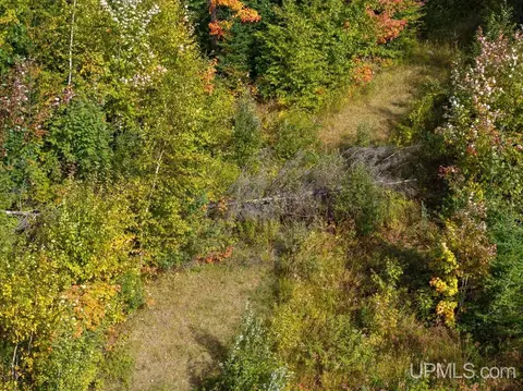 316 Acres Us 141, Covington, MI 49919 photo 35