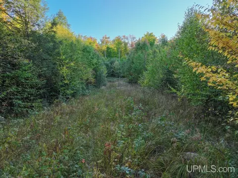 316 Acres Us 141, Covington, MI 49919 photo 15