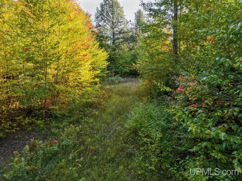 316 Acres Us 141, Covington, MI 49919 photo 11