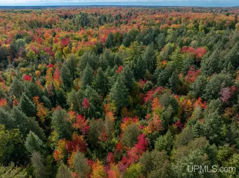 316 Acres Us 141, Covington, MI 49919 photo 6