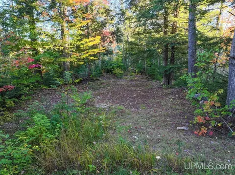 316 Acres Us 141, Covington, MI 49919 photo 41