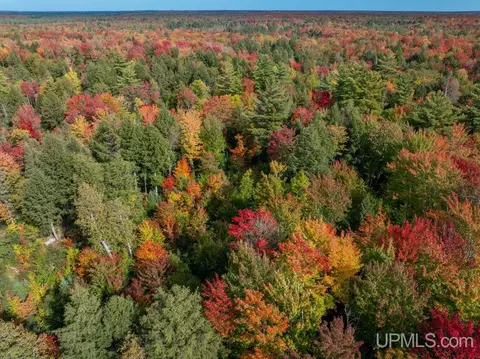 316 Acres Us 141, Covington, MI 49919 photo 38