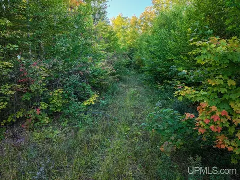 316 Acres Us 141, Covington, MI 49919 photo 17