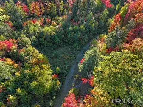 316 Acres Us 141, Covington, MI 49919 photo 4