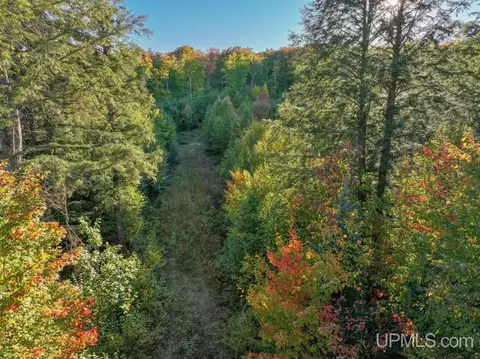 316 Acres Us 141, Covington, MI 49919 photo 14