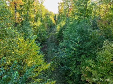 316 Acres Us 141, Covington, MI 49919 photo 18